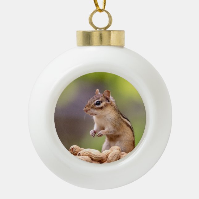 Boule En Céramique Chipmunk aux cacahuètes (Devant)