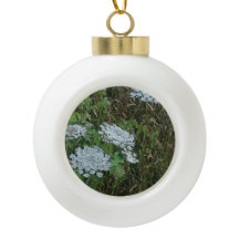 Dentelle blanche de la Reine Anne Fleur sauvage