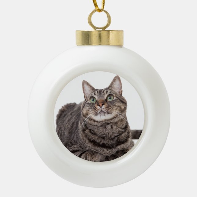 Boule En Céramique Gray Tabby Cat (Devant)