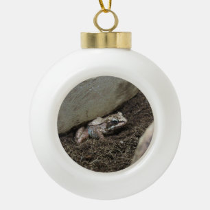 Boule En Céramique Grenouille sale