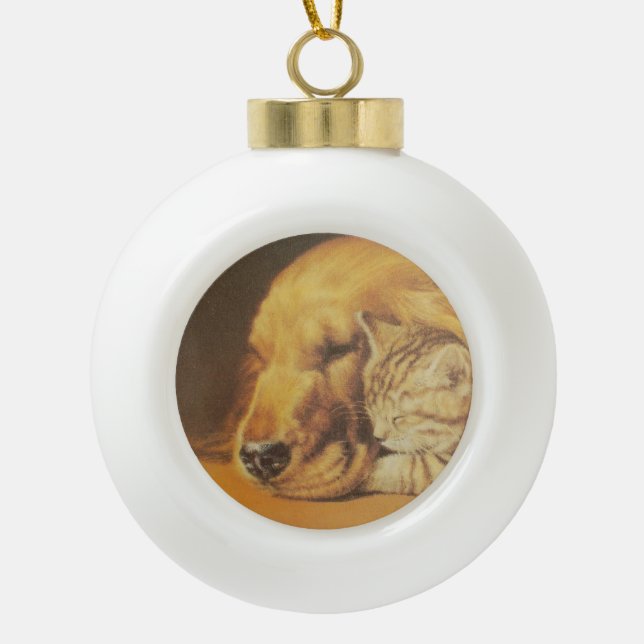 Boule En Céramique Harmonie Whiskered : Cat & Dog Cuddle dans une sie (Devant)