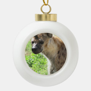Boule En Céramique Hyena