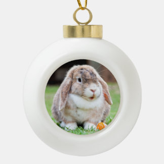 Boule En Céramique lapin à oreilles de lop mignon