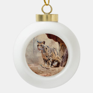 Boule En Céramique léopard nébuleux image nature faune exotique