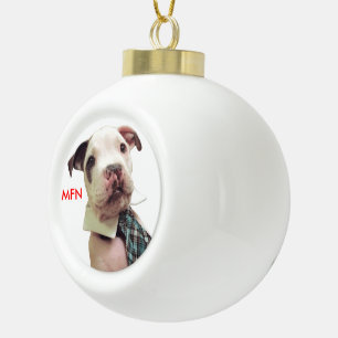 Boule En Céramique M. Fig Newton Ornament #1