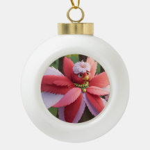 Noël du cardinal Bee