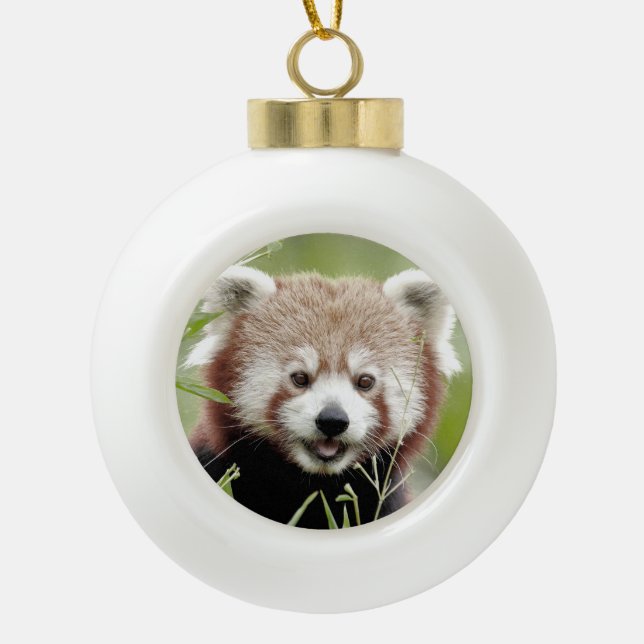 Boule En Céramique Ornement, noel, panda rouge. Panda roux. (Devant)