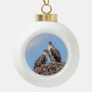 Boule En Céramique Osprey juvénile dans le nid