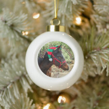 Père Noël Horse vacances Elf