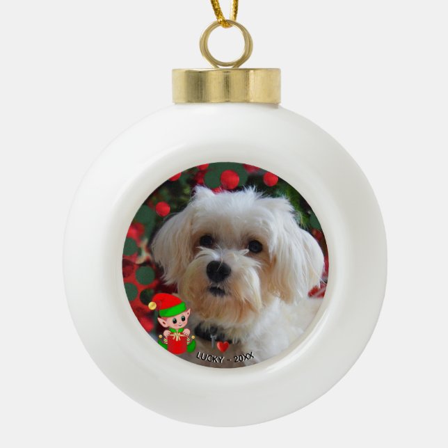 Boule En Céramique Photo de chien maltais personnalisé avec Elf migno (Devant)