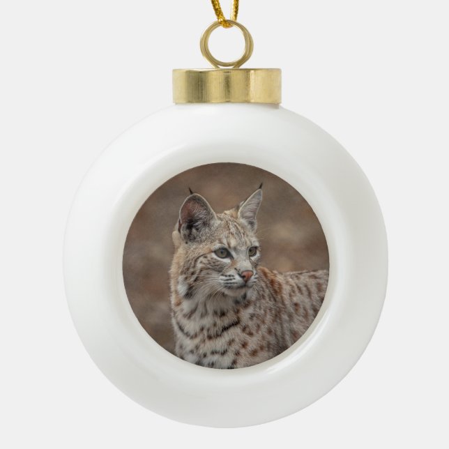 Boule En Céramique Portrait d'un Bobcat (Devant)