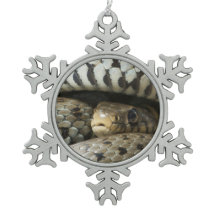 Serpent
