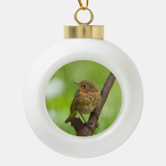 Boule En Céramique Un Robin De Bébé Perché Sur Une Branche (Devant)