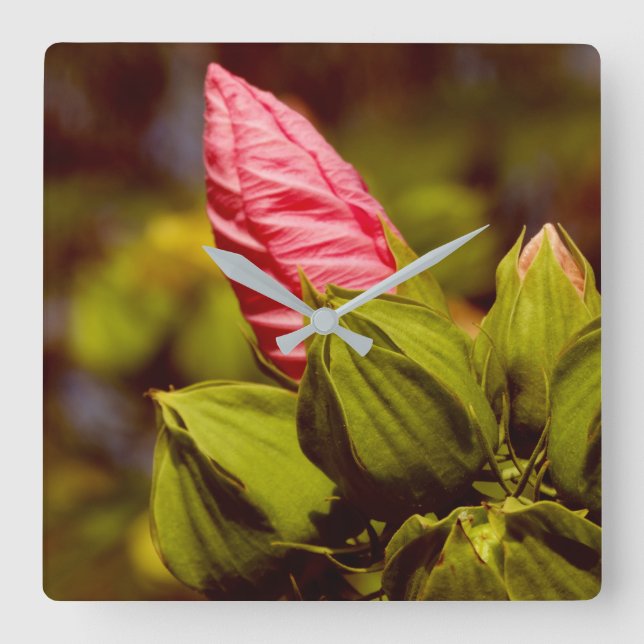 Boule rose Fleur Jardin Floral Horloge photo (Recto)