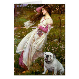 Bouledogue anglais 9 - Windflowers