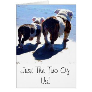 Bouledogue et chiot anglais