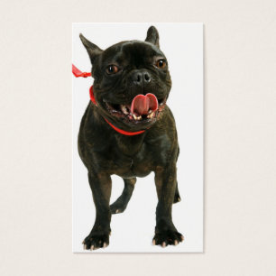 Bouledogue français