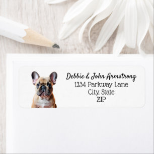 Bouledogue Français Chien Chiens Adresse de Retour