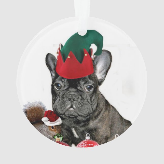 Bouledogue français de Noël (dos)