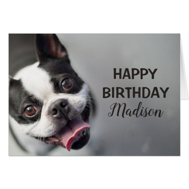 Bouledogue français des images | de Getty (Devant horizontal)