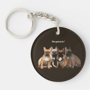 Bouledogue français famille de chiens