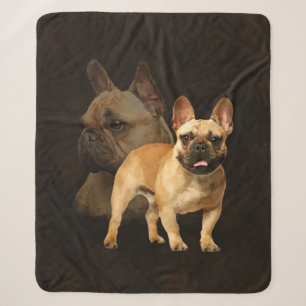 Bouledogue français - Frenchie - plaid Brown