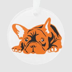 Bouledogue français orange