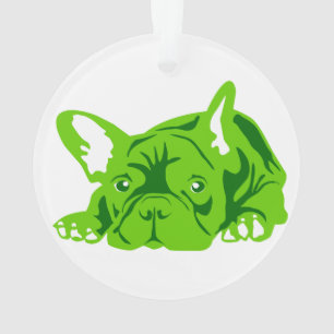 Bouledogue français vert