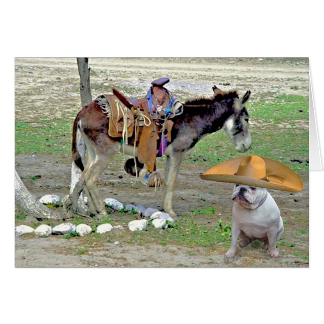 Bouledogue mexicain (Devant horizontal)