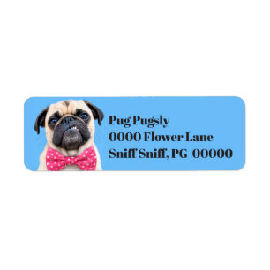 Bouledogue portant un nœud rose