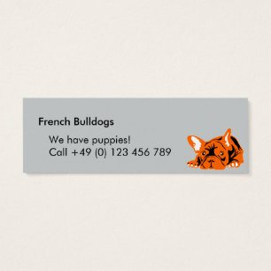Bouledogues français