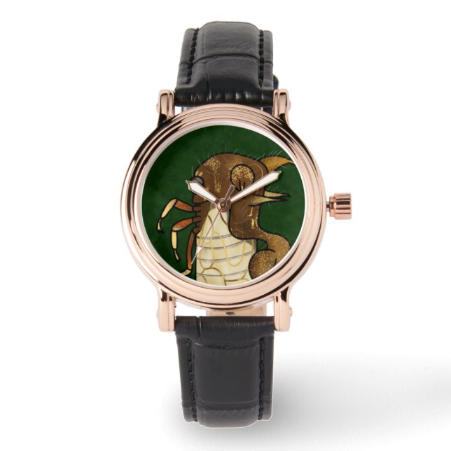 bouman642 Tree hoppers Cyphonia clavigera Watch (Front)