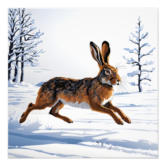 Boundless Hare Freedom in Snow Photo Print (Front)