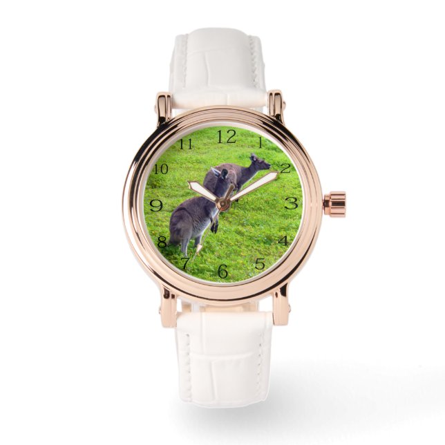 Boundless Horizons: Gray Kangaroos on Grassy Plain Watch (Front)