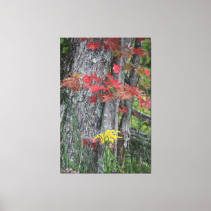 Bounty Of Nature Canvas Print
