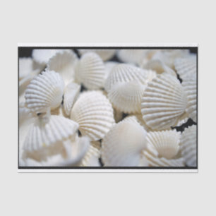 Bounty of Shells Tissue Paper