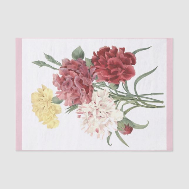 Bouquet 15" d'oeillets x 10" papier de soie de (Recto)
