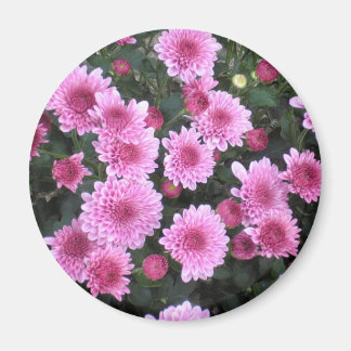 Bouquet de la nature : Magnet de printemps