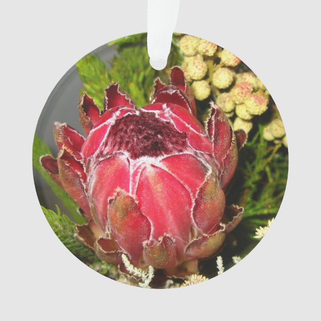Bouquet de Protea (devant)