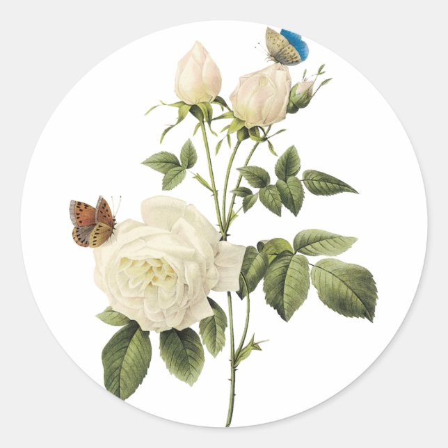 Bouquet de Roses Blanches avec Sticker Papillons (Devant)
