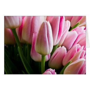 Bouquet des tulipes roses