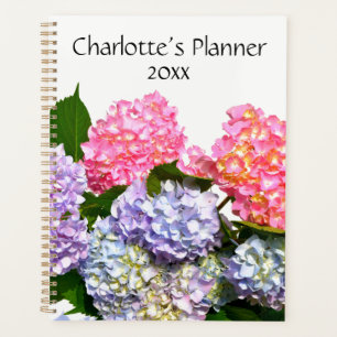 Bouquet Hydrangea, fleurs rose violet bleu jaune
