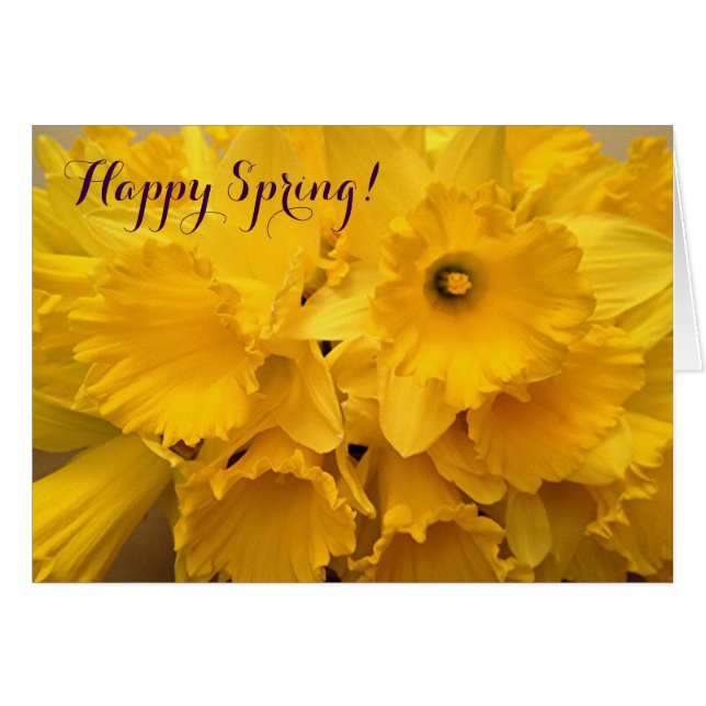 Bouquet of Daffodils (Front Horizontal)