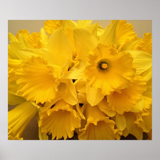 Bouquet of Daffodils Poster (Front)