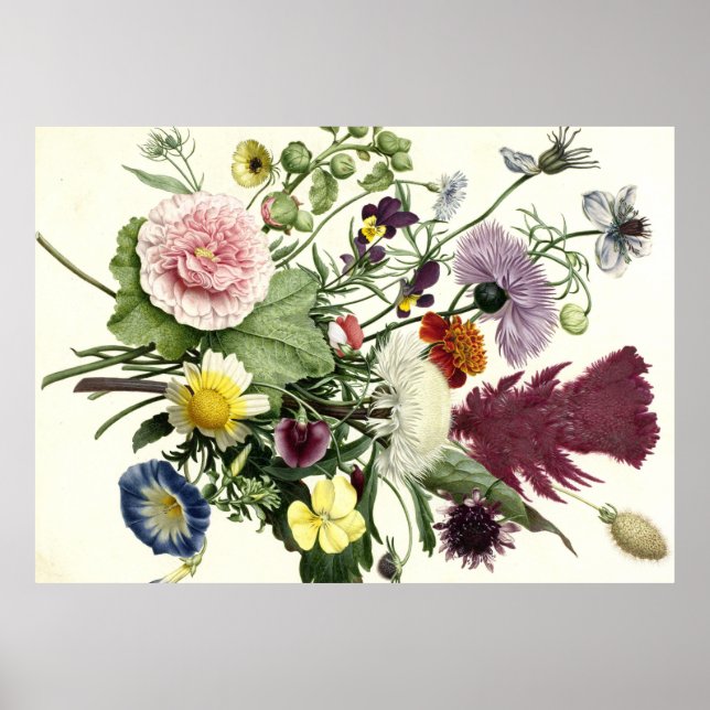 Bouquet of Flowers, Anonymous, 1680 Poster (Front)
