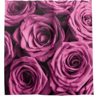 Bouquet of purple roses, flowers floral background