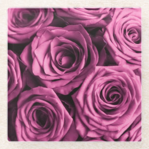 Bouquet of purple roses, flowers floral background glass coaster