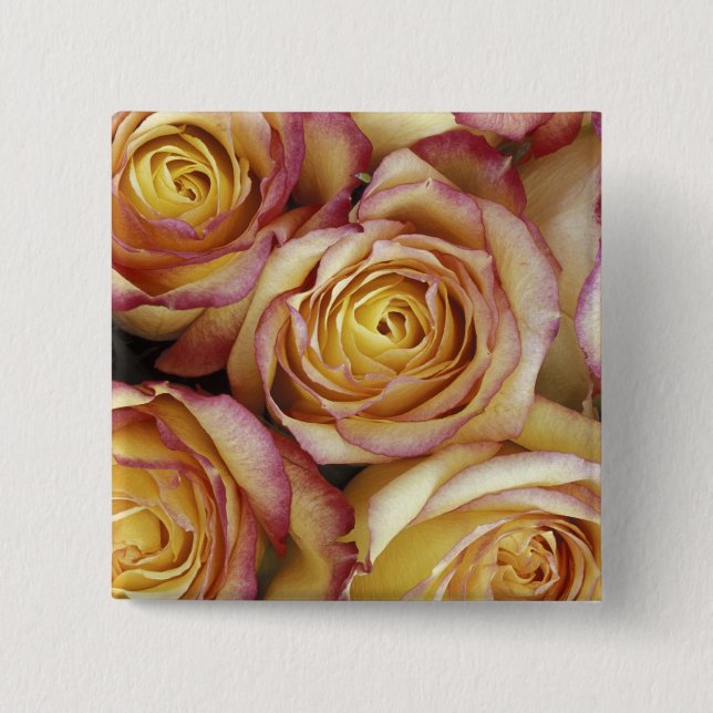 Bouquet of roses 2 inch square button (Front)