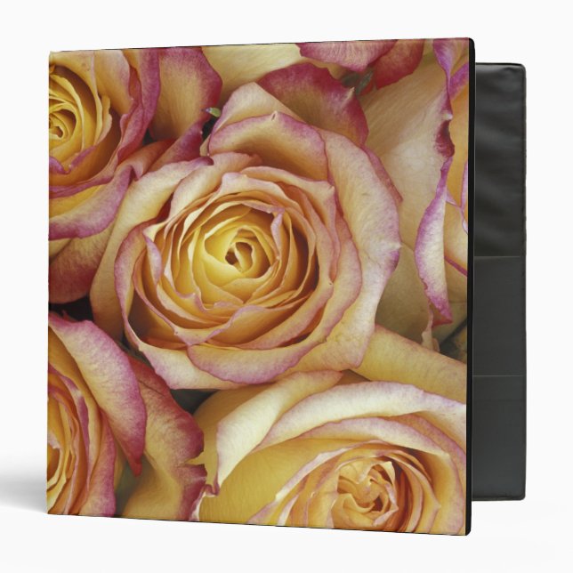 Bouquet of roses binder (Front/Inside)