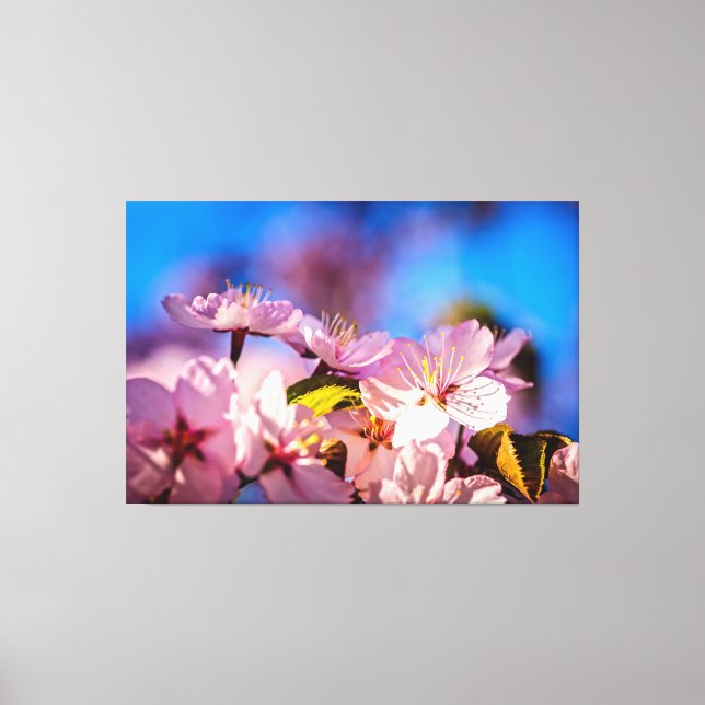 Bouquet Of Sakura Flowers Canvas Print (Front)